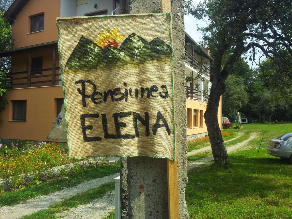 Pensiunea Elena Vistisoara 部屋 写真